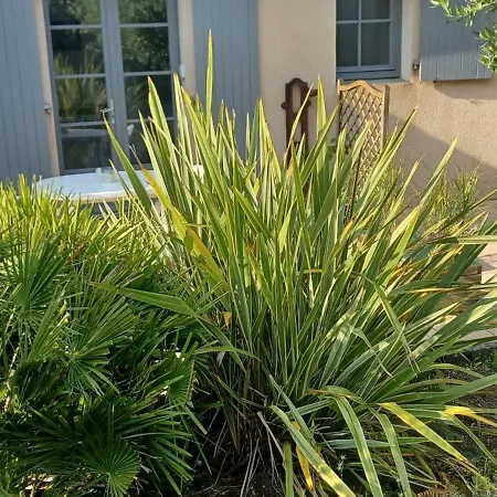 Les Lavandières Alloggio in famiglia