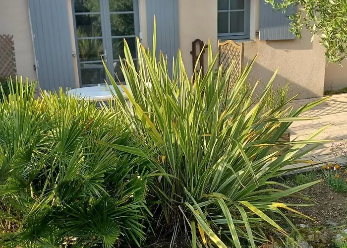 Les Lavandieres בית אירוח